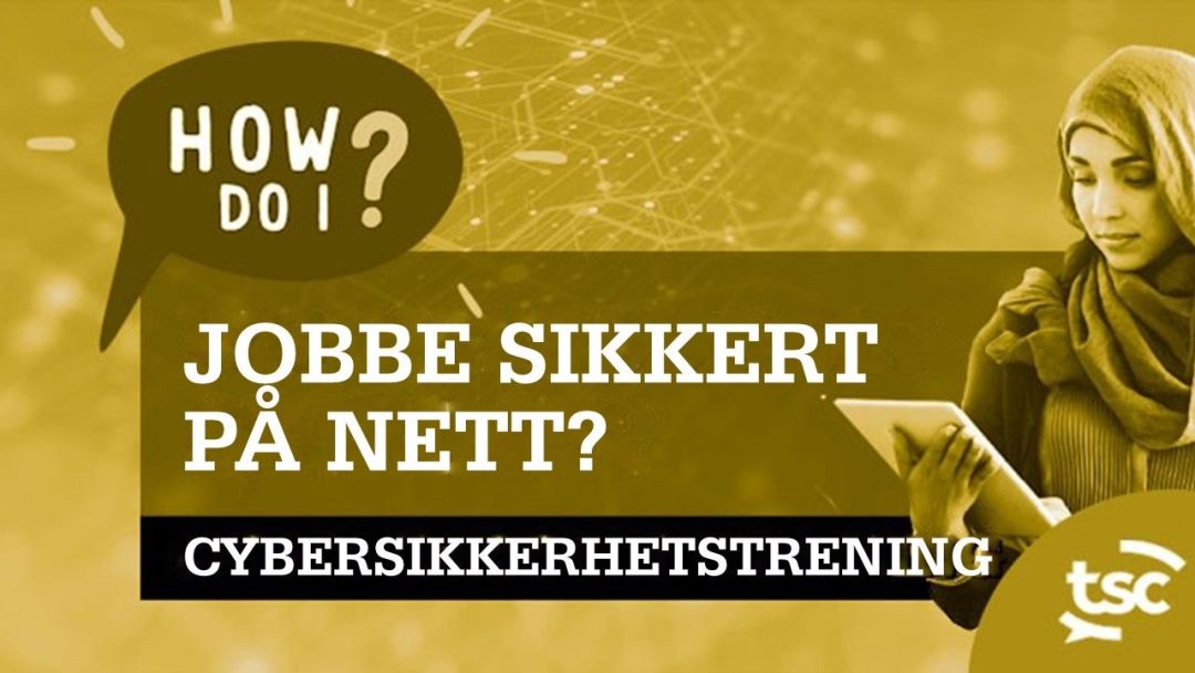 Cybersikkerhetsbevissthet: Hvordan jobber jeg sikkert p√• nett?