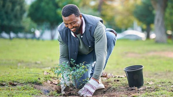 Introduction to Sustainability