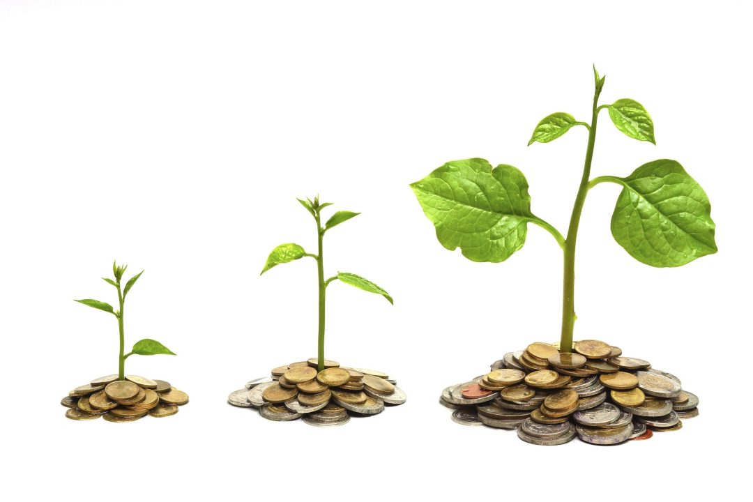 Investment: An Introduction