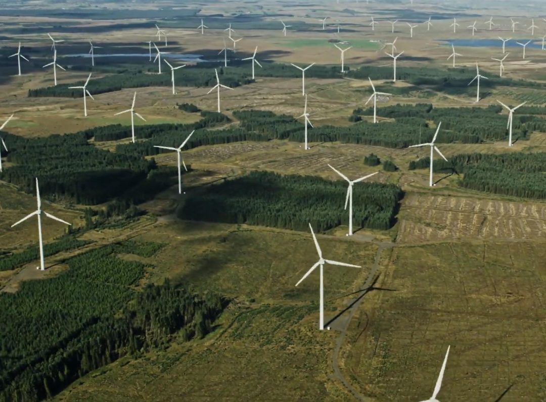 Environmental, Social, and Governance (ESG): Factors