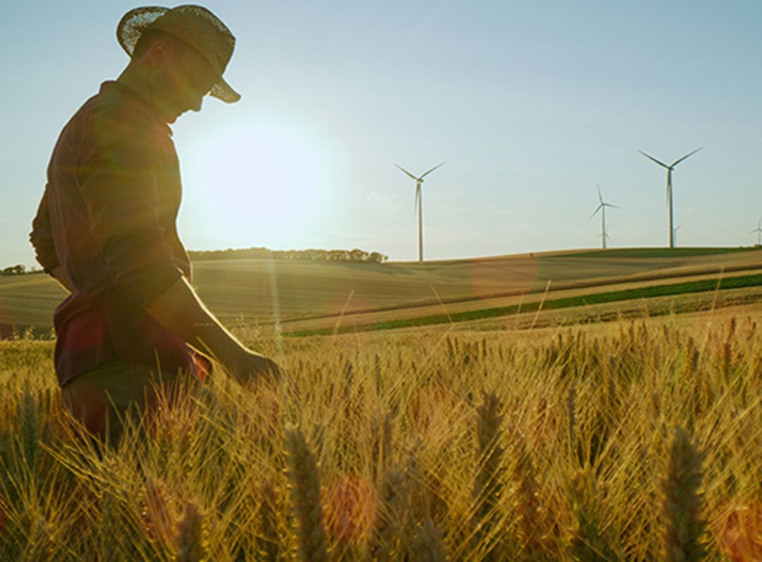 The Sustainable Finance Disclosure Regulation (SFDR)