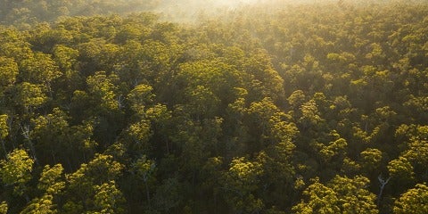 Environmental Awareness