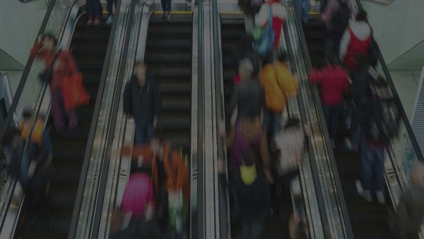Equality and Diversity (Employee)