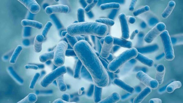 Food Safety and Hygiene: Food Contamination