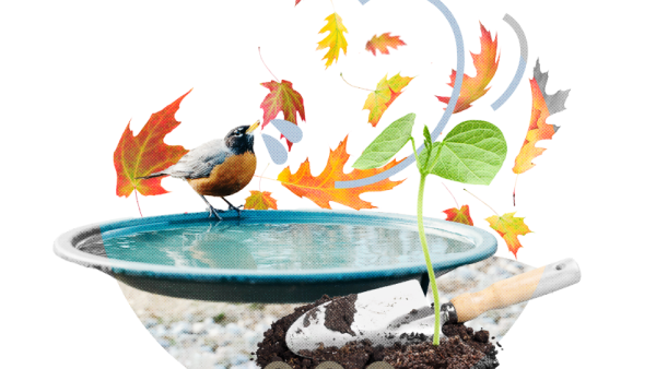 Dynamic Refresher: Introduction to the Environmental Impacts of Pollution and Waste