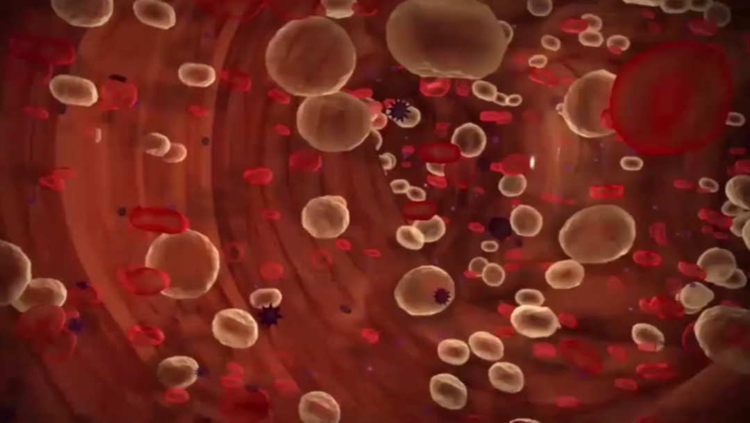 Kitchen Safety - Food Safety: Bloodborne Pathogens