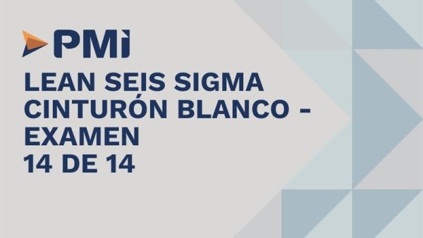 Lean Seis Sigma Cinturón Blanco: Examen de certificación Lean Six Sigma White Belt