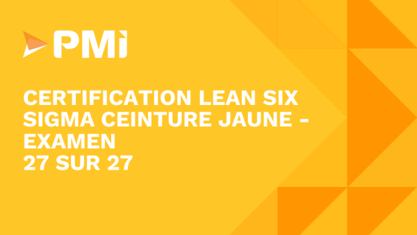 Lean Six Sigma Yellow Belt: Examen de certification Lean Six Sigma Ceinture Jaune