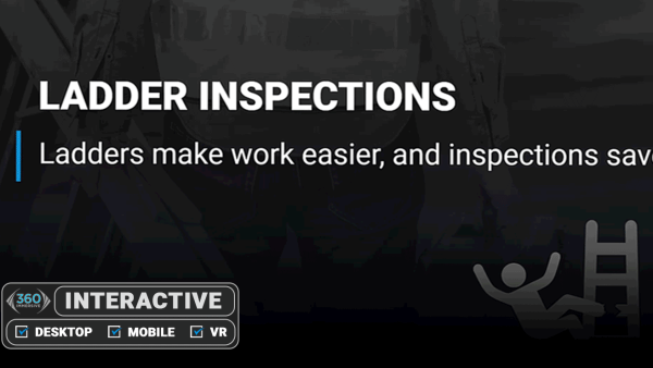 Ladder Inspection - Simulation