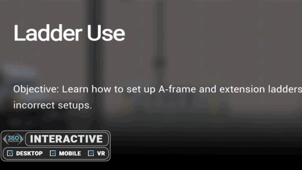 Ladder Use - Simulation