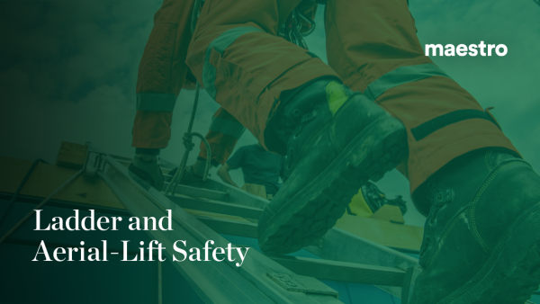 Ladder and Elevating Platform Safety