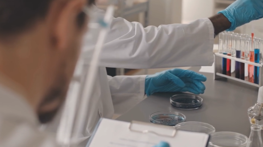 Laboratory Series: Latex Standard