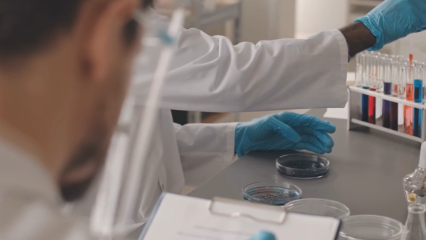 Laboratory Series: Latex Standard
