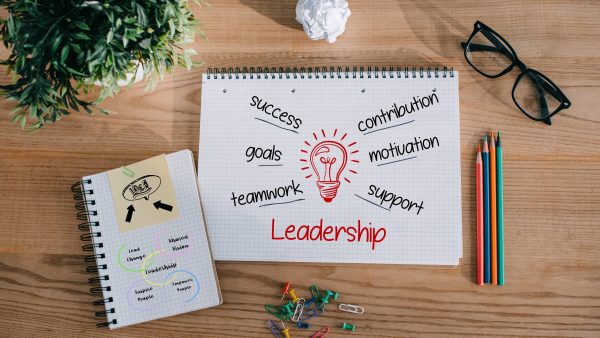 Emotionally Intelligent Leadership in Action