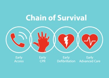 Adult or Child Cardiopulmonary Resuscitation (CPR) Basics