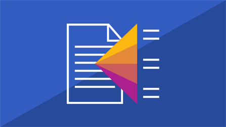 Project Organization in the Planning Process