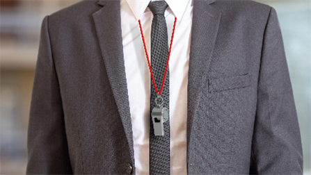 Whistleblower Awareness for the Public Sector