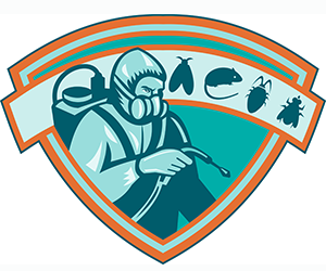 Protecting Yourself: Stinging Insects