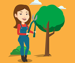 Protecting Yourself from Poisonous Plants