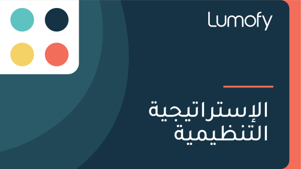 ÿßŸÑÿ•ÿ≥ÿ™ÿ±ÿßÿ™Ÿäÿ¨Ÿäÿ© ÿßŸÑÿ™ŸÜÿ∏ŸäŸÖŸäÿ©