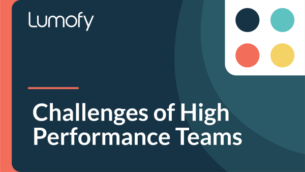 Challenges of High Performance Teams