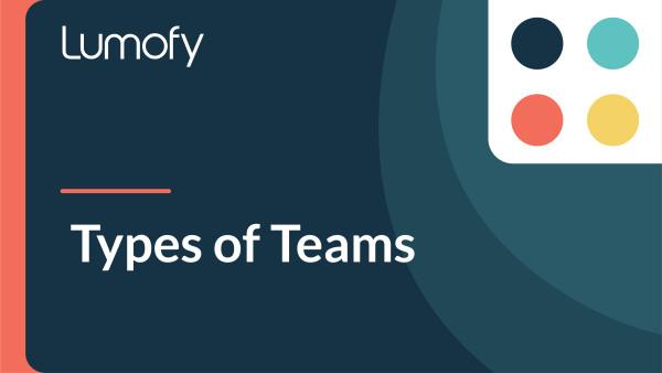 Types of Teams