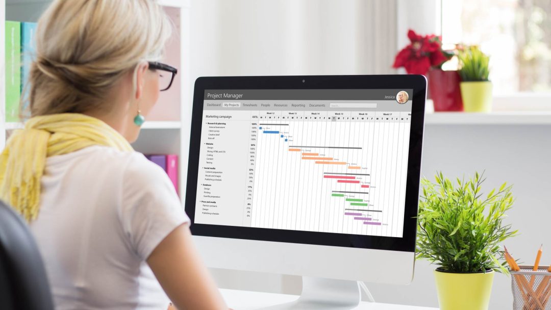 Understanding Project Management