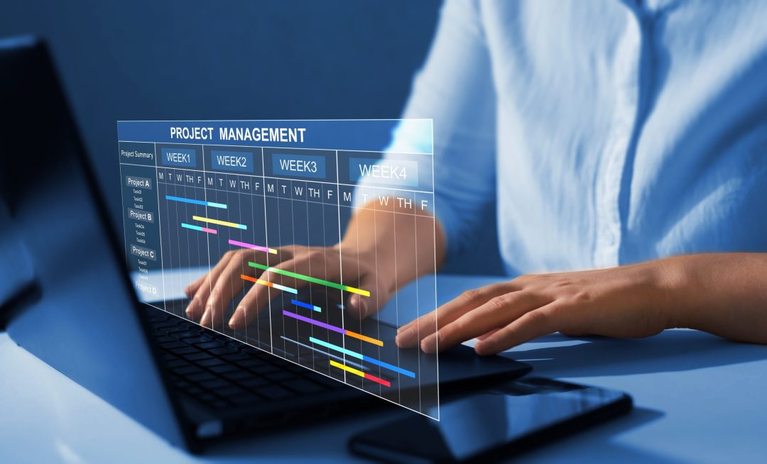 Navigating Project Landscapes in Project Management