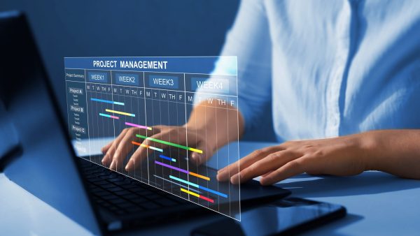 Navigating Project Landscapes in Project Management