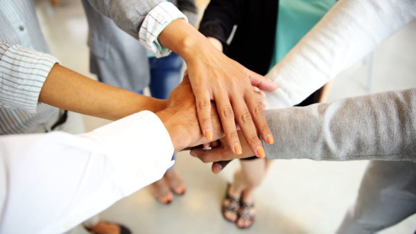 Understanding Your Working Relationships