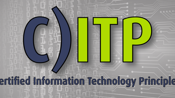 C)ITP: Certified Penetration Testing Consultant