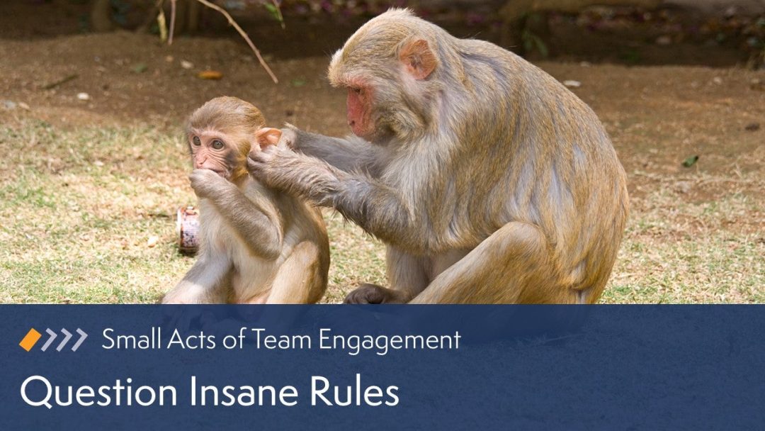 Small Acts of Team Engagement: Question Insane Rules