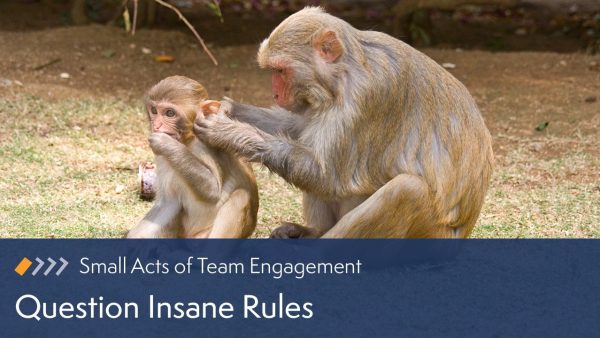 Small Acts of Team Engagement: Question Insane Rules