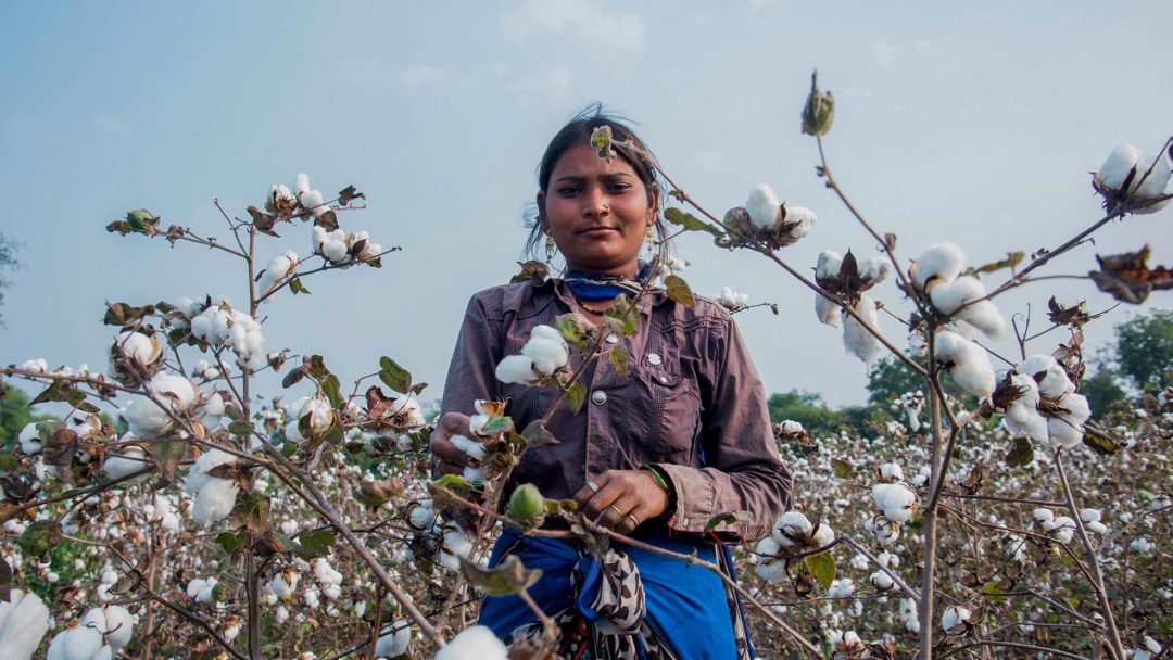 Modern Slavery in Global Supply Chains: Click & Learn