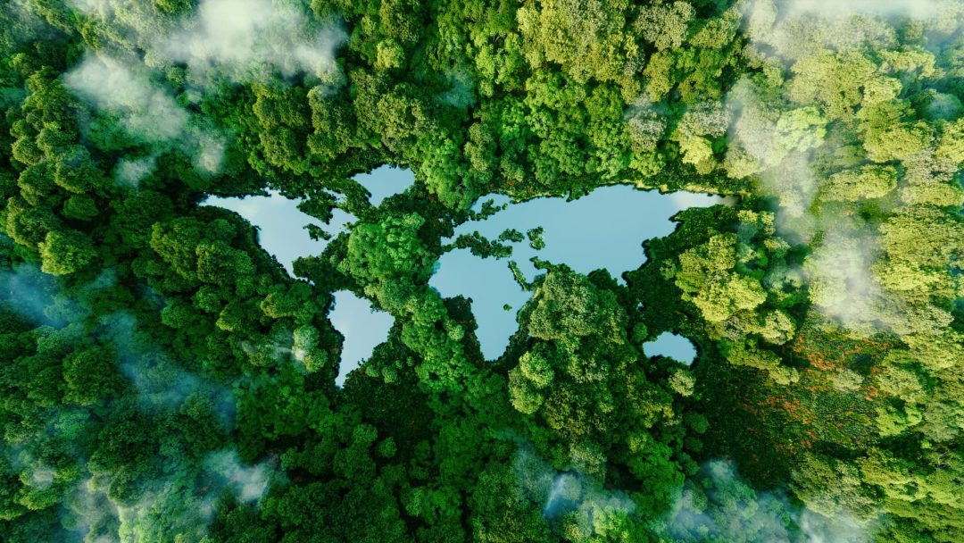 Sustainability at Work: Click & Learn
