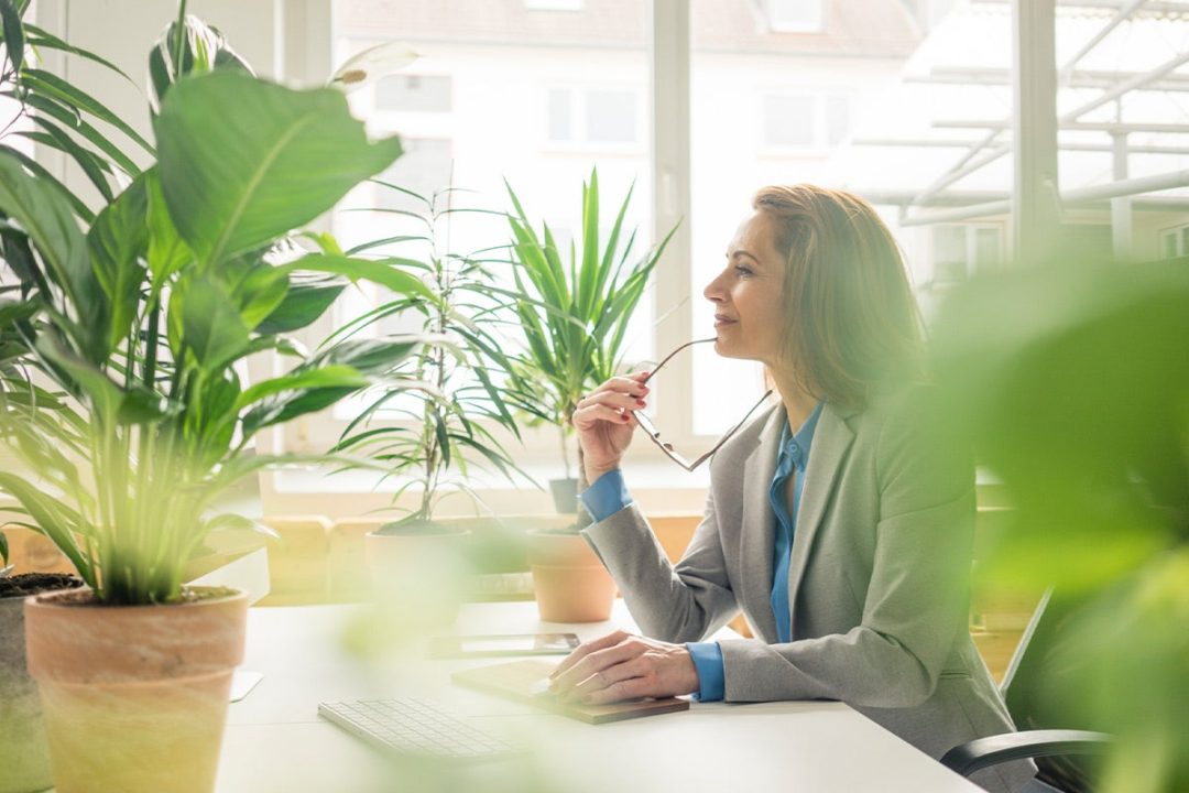 EU Sustainable Finance Disclosure Regulation (SFDR/TVO)