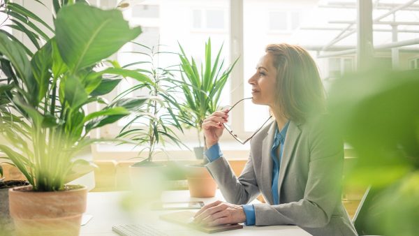 EU Sustainable Finance Disclosure Regulation (SFDR/TVO)