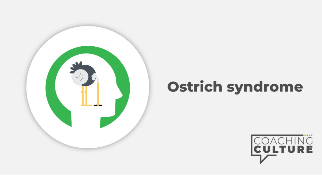 MINDSET: Ostrich Syndrome
