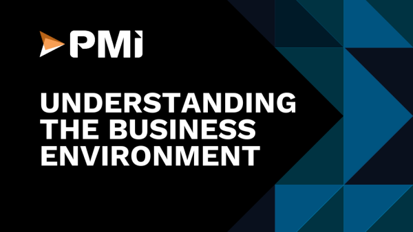 Lean Six Sigma Black Belt: Understanding the Business Environment 3 of 48