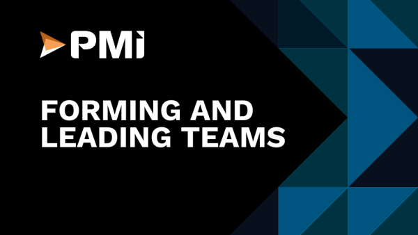 Lean Six Sigma Black Belt: Forming and Leading Teams 11 of 48
