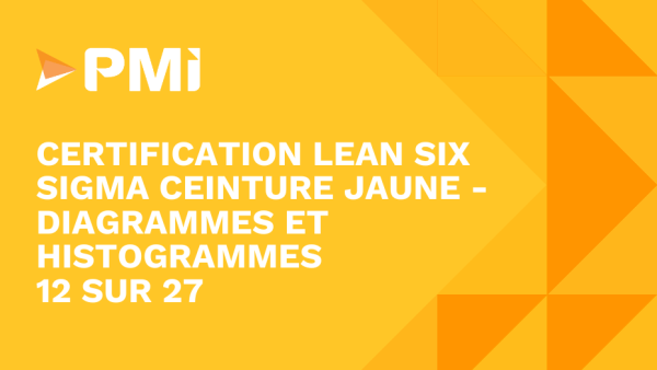 Lean Six Sigma Yellow Belt: Diagrammes et histogrammes 12 of 26