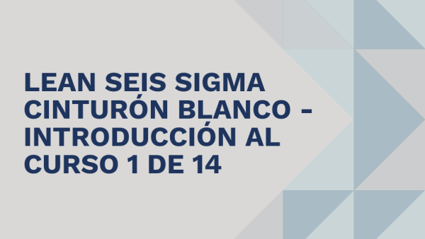 Lean Seis Sigma Cinturón Blanco: Introducción al curso 1 de 14