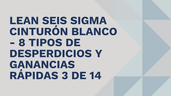 Lean Seis Sigma Cinturón Blanco: 8 tipos de desperdicios y Ganancias rápidas 3 de 14