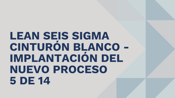 Lean Seis Sigma Cinturón Blanco: Implantación del nuevo proceso 5 de 14