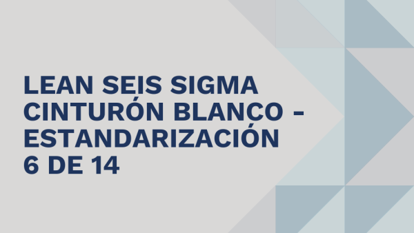 Lean Seis Sigma Cinturón Blanco: Estandarización 6 de 14