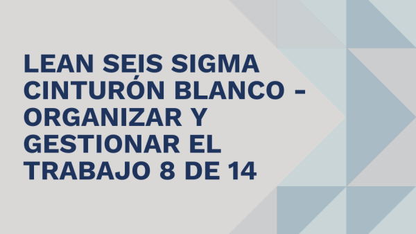 Lean Seis Sigma Cinturón Blanco: Organizar y gestionar el trabajo 8 de 14