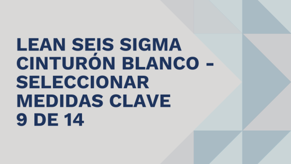 Lean Seis Sigma Cinturón Blanco: Seleccionar medidas clave 9 de 14