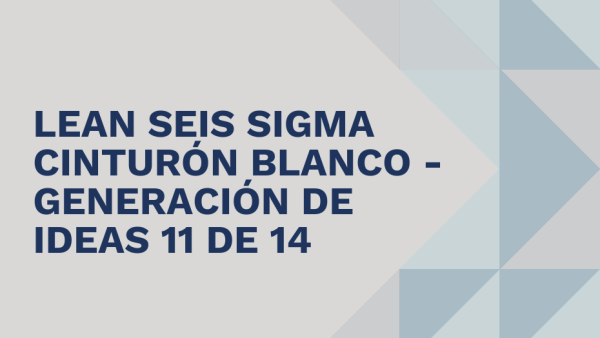 Lean Seis Sigma Cinturón Blanco: Generación de ideas 11 de 14