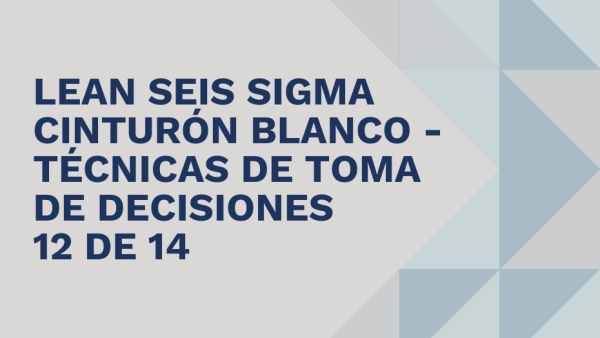 Lean Seis Sigma Cinturón Blanco: Técnicas de toma de decisiones 12 de 14