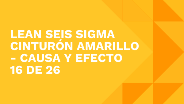 Lean Seis Sigma Cinturón Amarillo: Causa y efecto 16 de 26